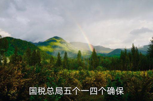 稅務(wù)局五個一是什么意思，國稅總局五個一四個確保