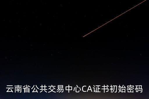 ca原始密碼登錄是什么，蘇州投標(biāo)ca初始密碼