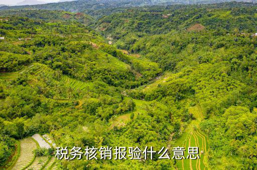 地稅核銷報驗是什么意思，地稅發(fā)票報驗是什么回事啊 怎么報驗什么時候報驗啊
