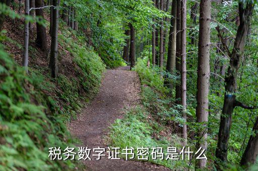 稅務(wù)數(shù)字證書(shū)密碼是什么