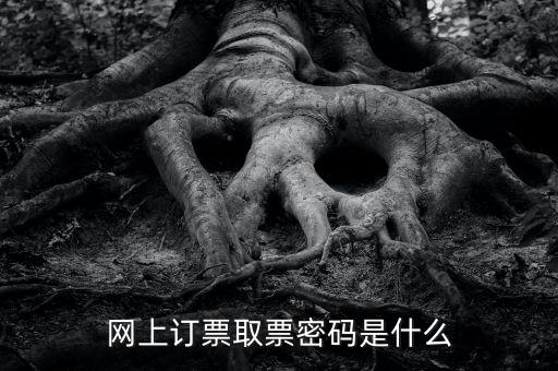 網(wǎng)絡發(fā)票密碼是什么，發(fā)票上密碼有什么用
