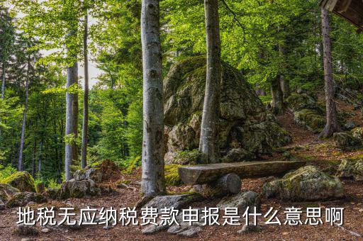 地稅無(wú)稅申報(bào)包括什么，地稅申報(bào)表無(wú)稅申報(bào)是什么意思我這個(gè)月要0申報(bào)是點(diǎn)擊