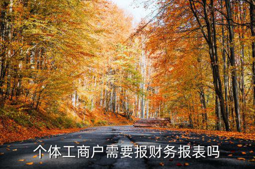 個(gè)體戶都需要申報(bào)什么表，個(gè)體工商戶需要報(bào)財(cái)務(wù)報(bào)表嗎