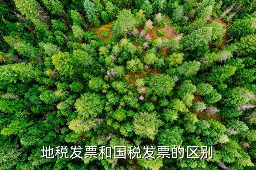 什么是國稅發(fā)票，國稅發(fā)票和增值稅專用發(fā)票的區(qū)別是什么