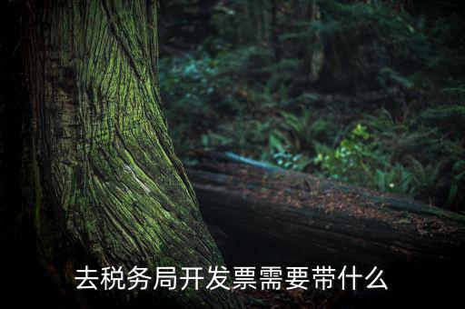 紹興市國(guó)稅購(gòu)增值稅發(fā)票需要帶什么，到稅務(wù)局開增值稅專用發(fā)票帶什么