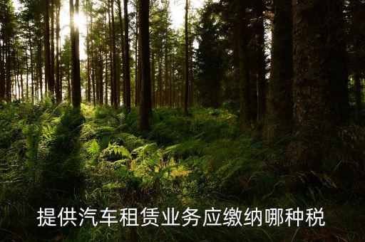 個人出租汽車給公司交什么稅，個人車輛租給公司個稅怎么交