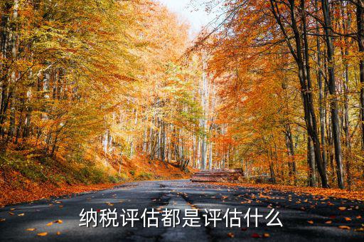 什么是稅務(wù)局企業(yè)評(píng)估，納稅評(píng)估都是評(píng)估什么