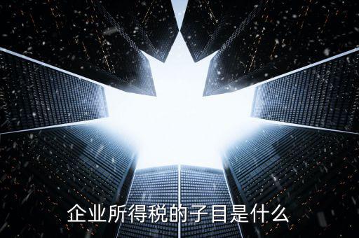 企業(yè)所得稅征收品目是什么，征收品目是什么