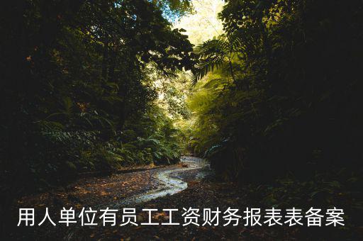 財務備案是什么意思，備案是什么意思