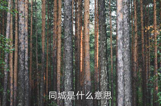 同城通辦是什么意思，同城快遞是什么意思