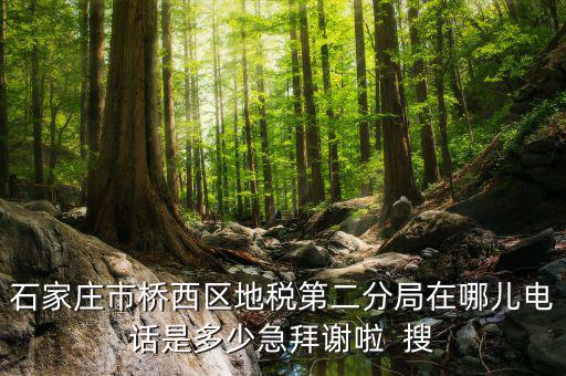 地稅二分局是做什么的，地稅科查局是做什么的