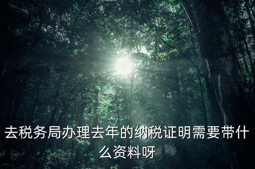 納稅證明要帶什么資料，要去地稅開(kāi)個(gè)納稅證明要準(zhǔn)備什么材料