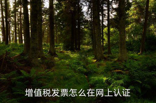 發(fā)票認(rèn)證需要什么軟件下載，國(guó)稅發(fā)票認(rèn)證需要準(zhǔn)備那些資料 到大廳辦的時(shí)候工作人員叫我拿U盤