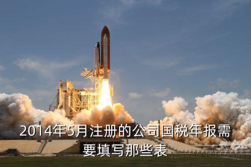 國稅年度申報(bào)填什么表，國稅年度報(bào)表怎么填啊