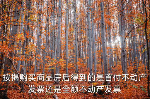 什么是全額不動產(chǎn)發(fā)票，想問一下購房全額發(fā)票到底是什么的侯才開是在交房的時侯還是辦