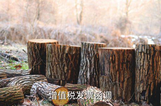 增值稅發(fā)票函調