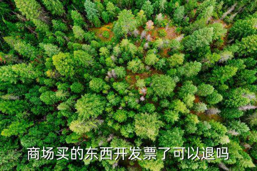 發(fā)票什么情況可以退回，商場買的東西開發(fā)票了可以退嗎