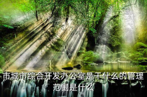 市通發(fā)辦是什么，市兩辦指什么