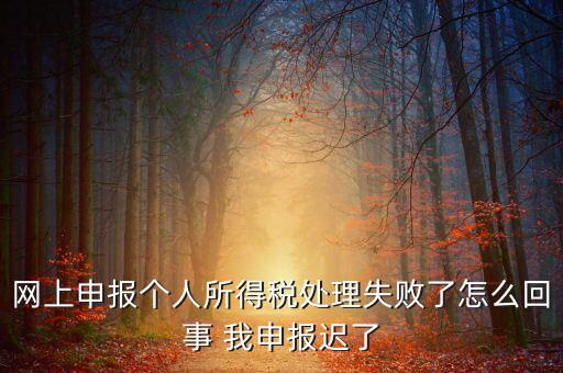 稅款處理失敗什么意思，扣繳稅款失敗提示銀財(cái)通處理失敗FAPP00444要怎樣處理才可以扣款