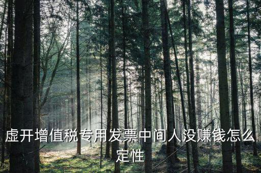 虛開增值稅專用發(fā)票中間人沒(méi)賺錢怎么定性