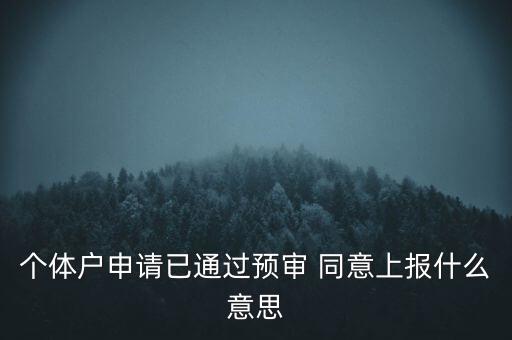 個(gè)體戶(hù)申請(qǐng)已通過(guò)預(yù)審 同意上報(bào)什么意思