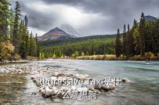 什么是稅收穿透，passthrough taxation是什么意思是直接繳稅嘛