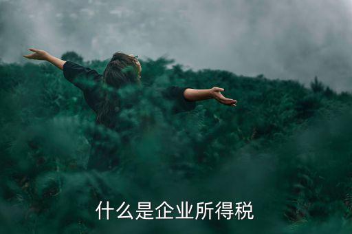 什么是企業(yè)所得稅率，什么是企業(yè)所得稅