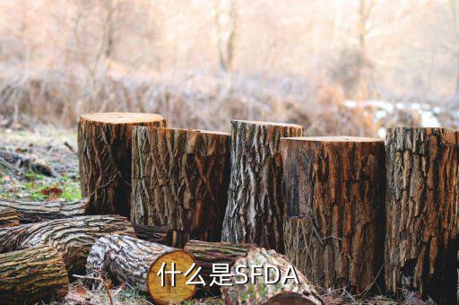 金稅是什么，什么是金關(guān)金橋金卡金稅