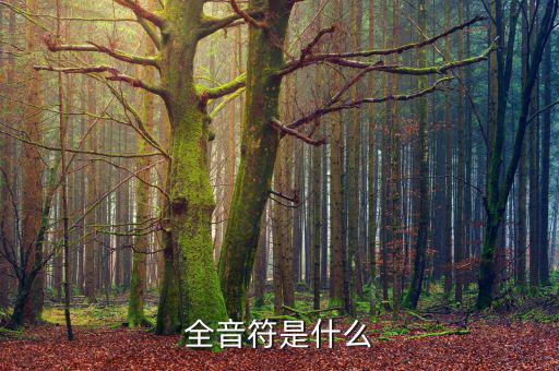一戶式是什么，服裝SKU是指什么有什么實際應用意義