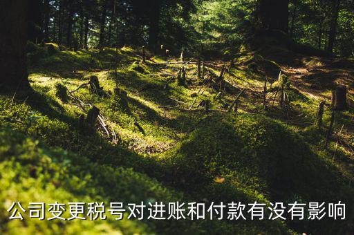 換稅號(hào)注意什么，公司變更稅號(hào)對(duì)進(jìn)賬和付款有沒有影響