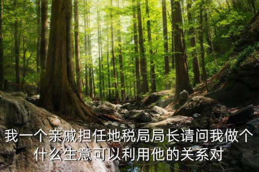 國稅局長可以干什么，東營地稅局局長有多大權力他能管什么啊