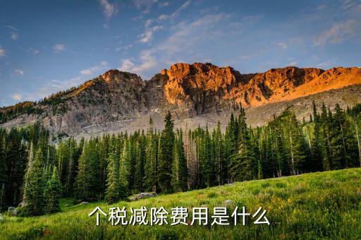 減除費(fèi)用是什么，個稅減除費(fèi)用是什么