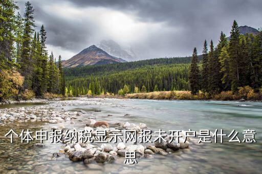 個(gè)體申報(bào)納稅顯示網(wǎng)報(bào)未開(kāi)戶(hù)是什么意思
