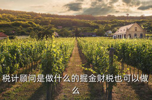 納稅咨詢員是做什么的，稅計(jì)顧問是做什么的掘金財(cái)稅也可以做么