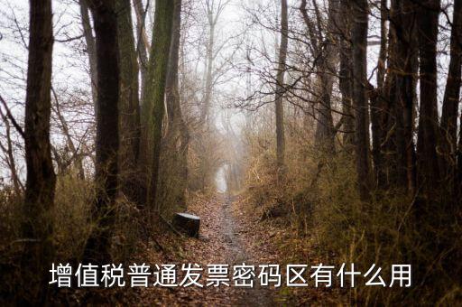 北京國(guó)稅發(fā)票密碼區(qū)是什么意思，新版發(fā)票密碼區(qū)包括什么內(nèi)容