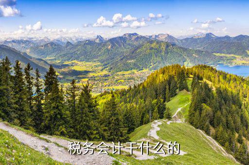 稅務(wù)部門(mén)的主業(yè)是什么，稅務(wù)