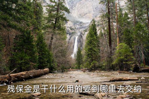 殘疾人保障金干什么用，殘疾就業(yè)保帳金是干什么的