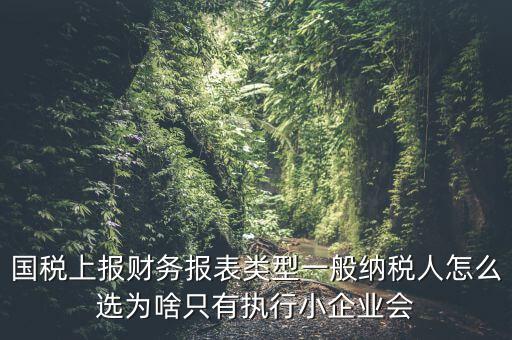 國稅上報財(cái)務(wù)報表類型一般納稅人怎么選為啥只有執(zhí)行小企業(yè)會