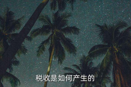 社會稅是什么原因，關于稅務的問題