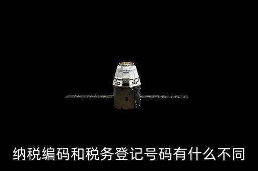 個人納稅編號是什么意思，納稅編碼和稅務登記號碼有什么不同