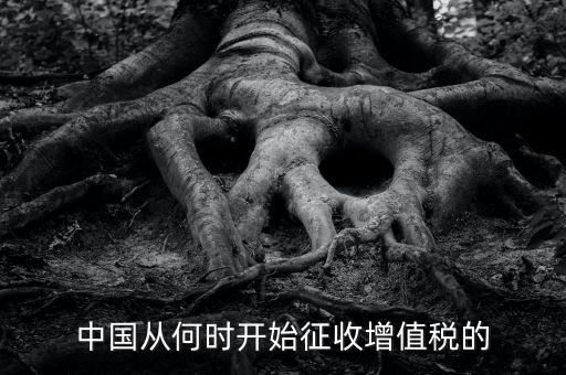 什么時(shí)候征收增值稅，批發(fā)零售業(yè)增值稅征收率什么時(shí)間開始為3