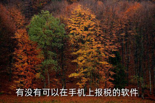 手機辦稅是什么，賣手機怎樣納稅