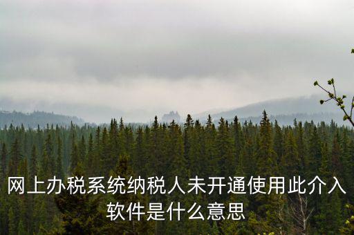 網上辦稅系統(tǒng)納稅人未開通使用此介入軟件是什么意思