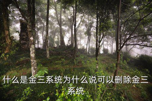 國稅金三系統(tǒng)是什么，什么是金三系統(tǒng)為什么說可以刪除金三系統(tǒng)