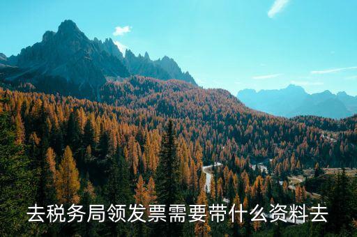 領(lǐng)定額發(fā)票帶什么，去稅務局領(lǐng)發(fā)票需要帶什么資料去