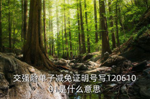交強(qiáng)險單子減免證明號寫12061001是什么意思