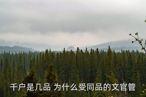 什么千戶集團(tuán)，千戶是什么意思