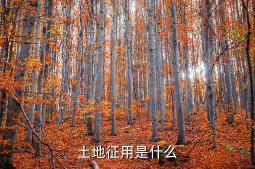 什么是土地報征，什么是征集土地