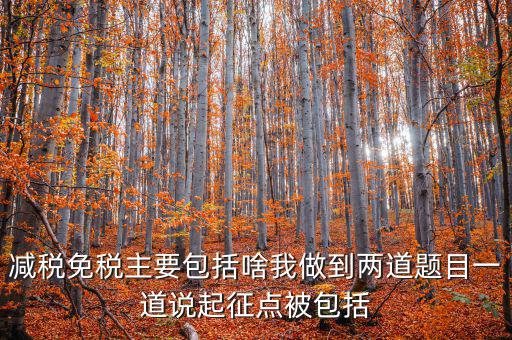 什么是減稅免稅，什么是稅收法定減免