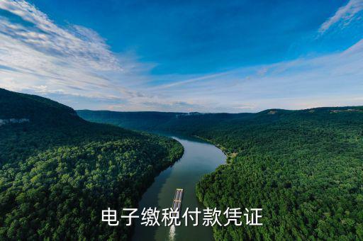 電子繳費(fèi)憑證是什么，電子繳稅付款憑證